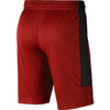 Spodenki męskie Air Jordan Dri-FIT 23 Alpha czerwone - CD5064-687