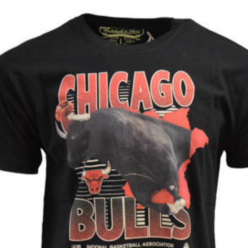 Koszulka męska Mitchell & Ness NBA Scienic Chicago Bulls T-Shirt Czarny - BMTRFH21APP001-CBUBLCK