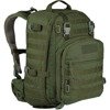 Plecak Wisport WHISTLER II 35 L Cordura Olive Green Custom Patriotic 