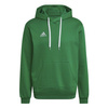 Sportowa Bluza z kapturem Adidas Entrada 22 Sweat Hoodie Dres - HI2141